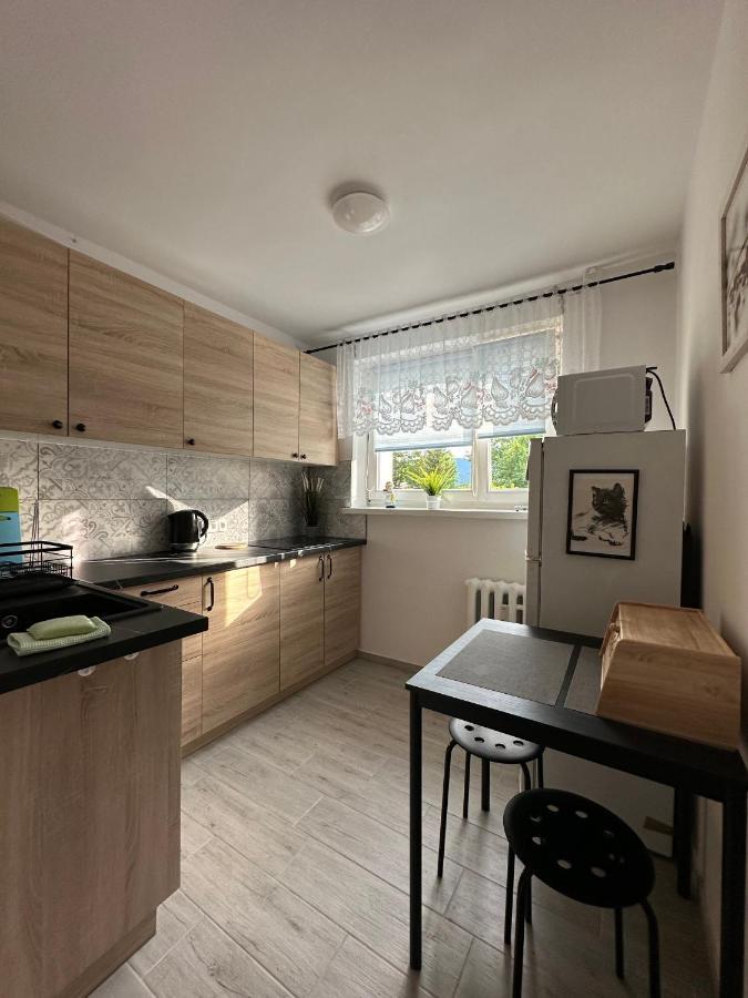 Tradycyjne Mieszkanie Przy Parku Norweskim Jelenia Góra Buitenkant foto